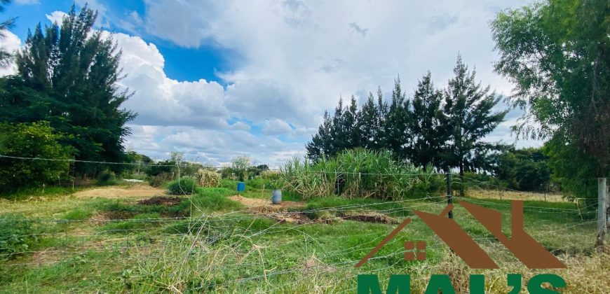 FOR SALE | Makeni 27.58 Acres Fully Functional Meat Processing Plant And Livestock Farm