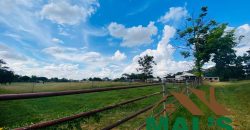 FOR SALE | Makeni 27.58 Acres Fully Functional Meat Processing Plant And Livestock Farm