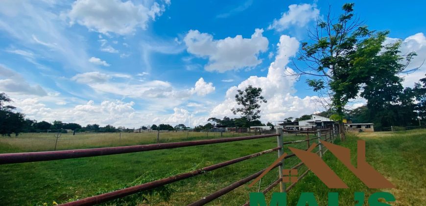 FOR SALE | Makeni 27.58 Acres Fully Functional Meat Processing Plant And Livestock Farm