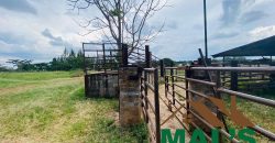 FOR SALE | Makeni 27.58 Acres Fully Functional Meat Processing Plant And Livestock Farm