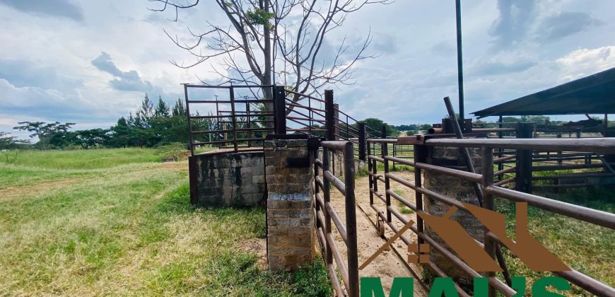 FOR SALE | Makeni 27.58 Acres Fully Functional Meat Processing Plant And Livestock Farm