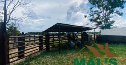 FOR SALE | Makeni 27.58 Acres Fully Functional Meat Processing Plant And Livestock Farm
