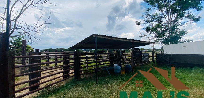 FOR SALE | Makeni 27.58 Acres Fully Functional Meat Processing Plant And Livestock Farm