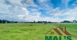 FOR SALE | Makeni 27.58 Acres Fully Functional Meat Processing Plant And Livestock Farm