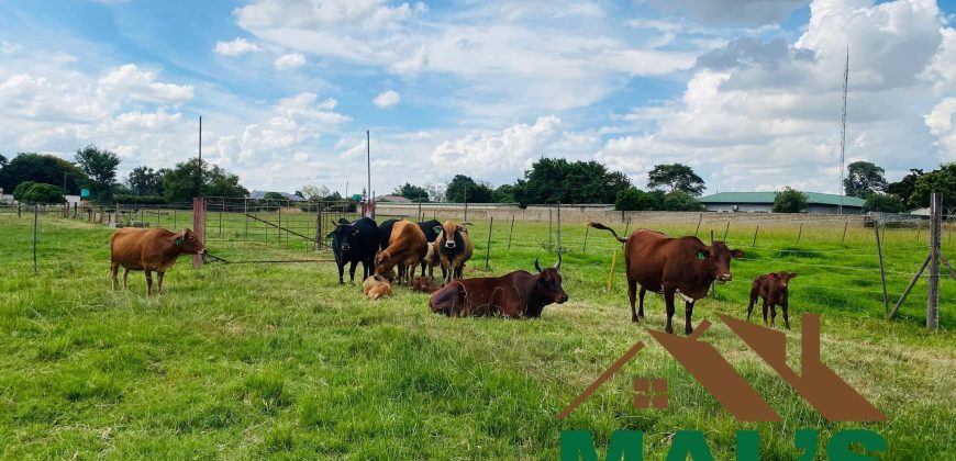 FOR SALE | Makeni 27.58 Acres Fully Functional Meat Processing Plant And Livestock Farm