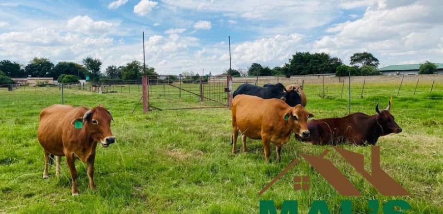 FOR SALE | Makeni 27.58 Acres Fully Functional Meat Processing Plant And Livestock Farm