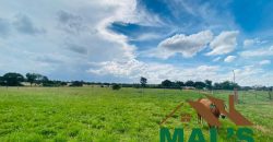 FOR SALE | Makeni 27.58 Acres Fully Functional Meat Processing Plant And Livestock Farm