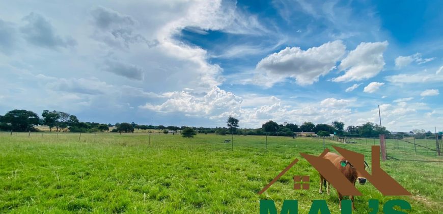FOR SALE | Makeni 27.58 Acres Fully Functional Meat Processing Plant And Livestock Farm