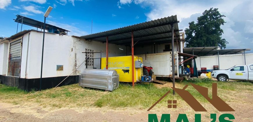 FOR SALE | Makeni 27.58 Acres Fully Functional Meat Processing Plant And Livestock Farm