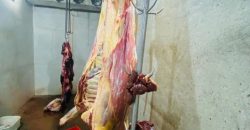 FOR SALE | Makeni 27.58 Acres Fully Functional Meat Processing Plant And Livestock Farm