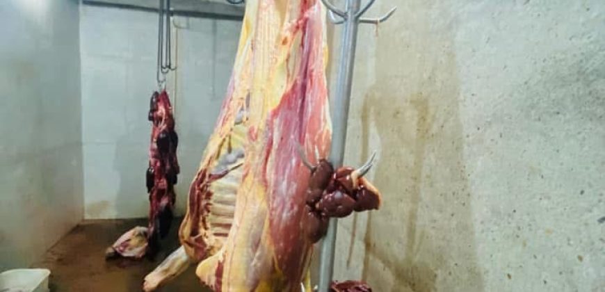 FOR SALE | Makeni 27.58 Acres Fully Functional Meat Processing Plant And Livestock Farm