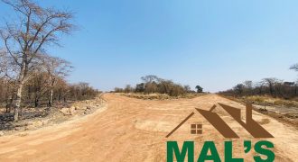 FOR SALE | Chaminuka Plots— Minimum 5 Acres x 49 Plots