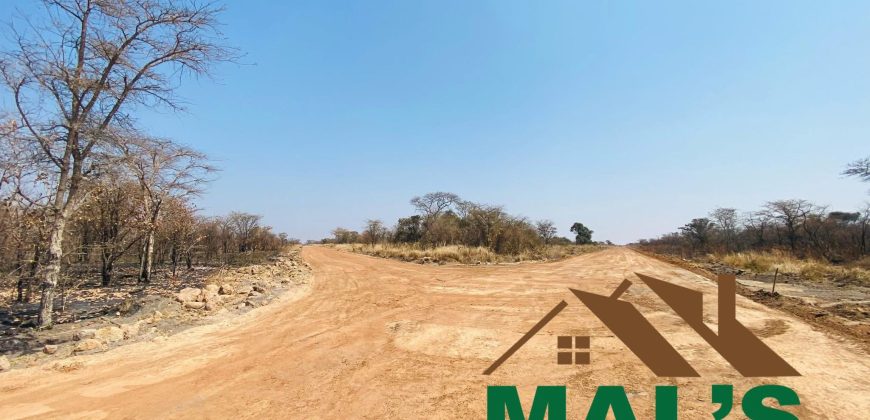 FOR SALE | Chaminuka Plots— Minimum 5 Acres x 49 Plots