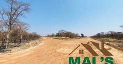 FOR SALE | Chaminuka Plots— Minimum 5 Acres x 49 Plots