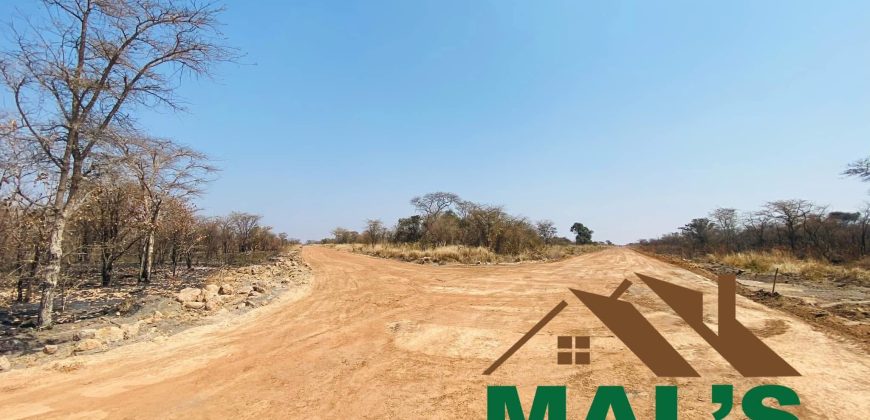 FOR SALE | Chaminuka Plots— Minimum 5 Acres x 49 Plots