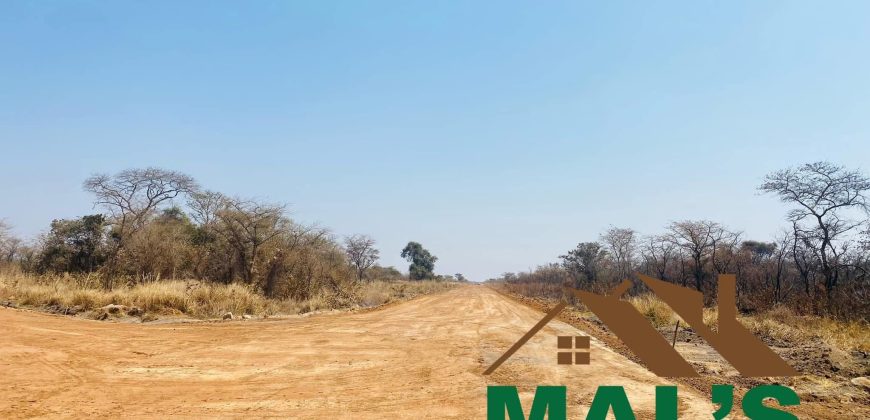 FOR SALE | Chaminuka Plots— Minimum 5 Acres x 49 Plots