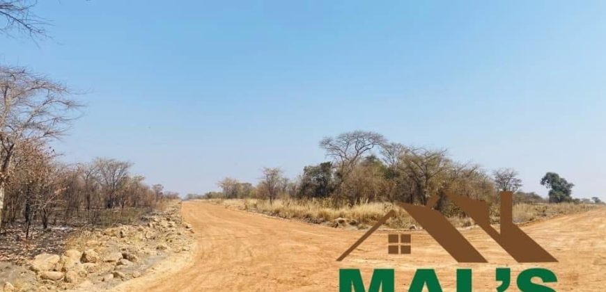 FOR SALE | Chaminuka Plots— Minimum 5 Acres x 49 Plots