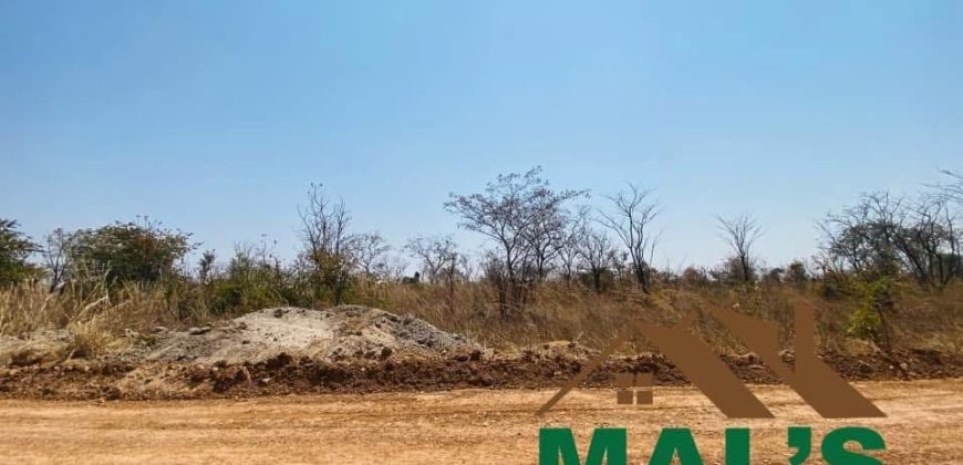FOR SALE | Chaminuka Plots— Minimum 5 Acres x 49 Plots