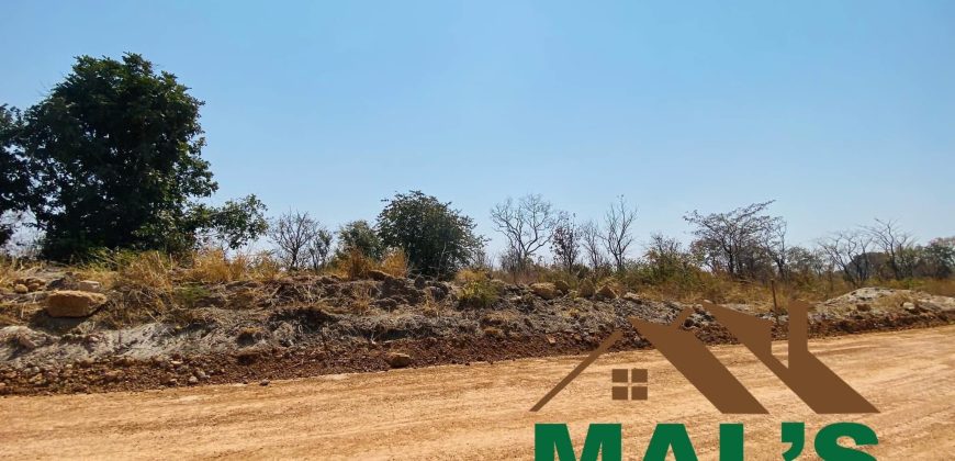 FOR SALE | Chaminuka Plots— Minimum 5 Acres x 49 Plots