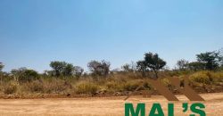 FOR SALE | Chaminuka Plots— Minimum 5 Acres x 49 Plots