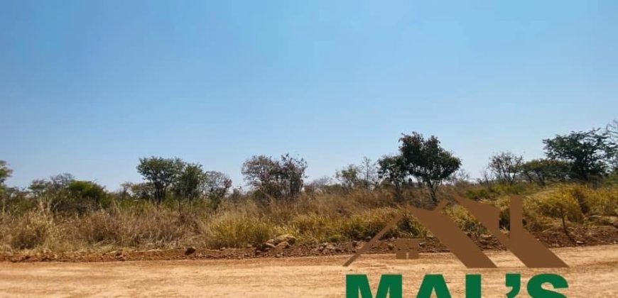 FOR SALE | Chaminuka Plots— Minimum 5 Acres x 49 Plots