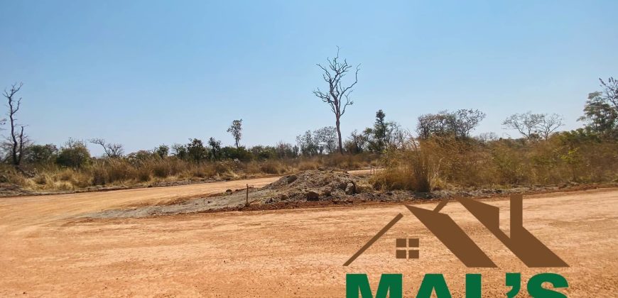 FOR SALE | Chaminuka Plots— Minimum 5 Acres x 49 Plots