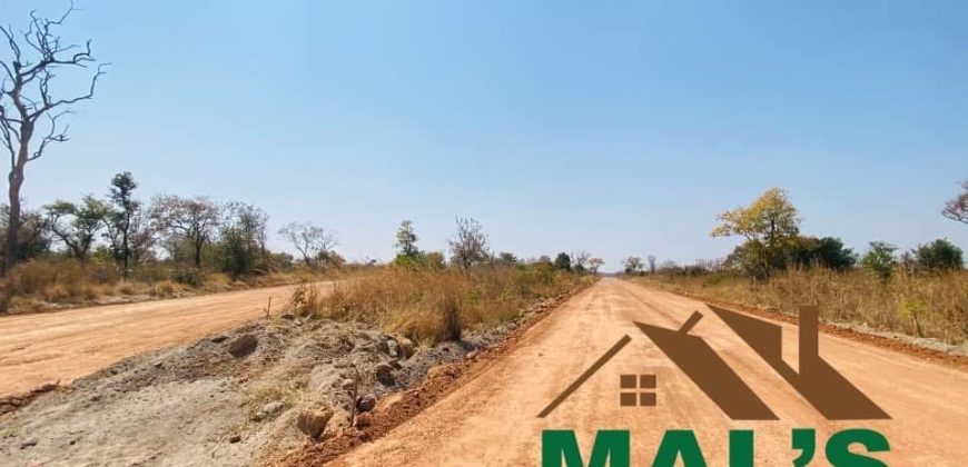 FOR SALE | Chaminuka Plots— Minimum 5 Acres x 49 Plots