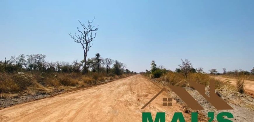 FOR SALE | Chaminuka Plots— Minimum 5 Acres x 49 Plots