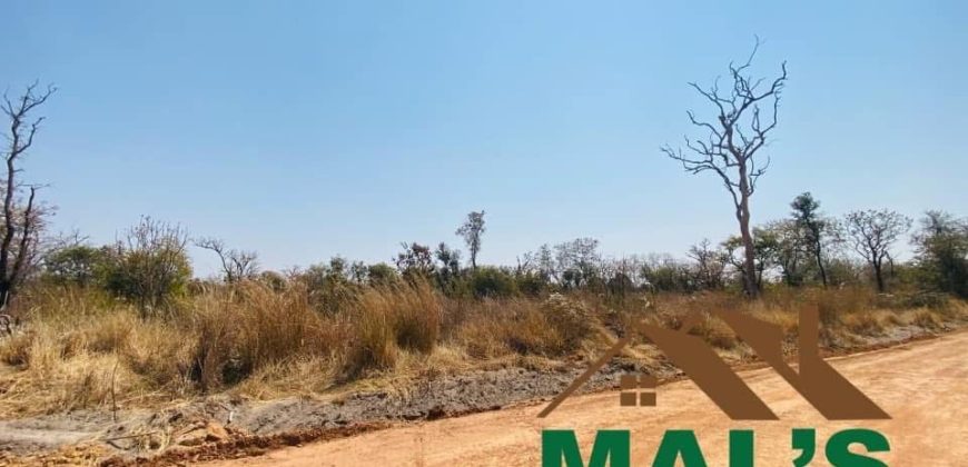 FOR SALE | Chaminuka Plots— Minimum 5 Acres x 49 Plots