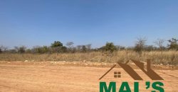 FOR SALE | Chaminuka Plots— Minimum 5 Acres x 49 Plots