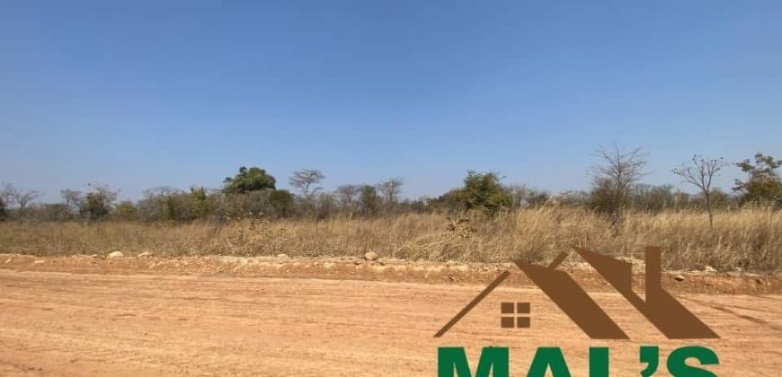 FOR SALE | Chaminuka Plots— Minimum 5 Acres x 49 Plots