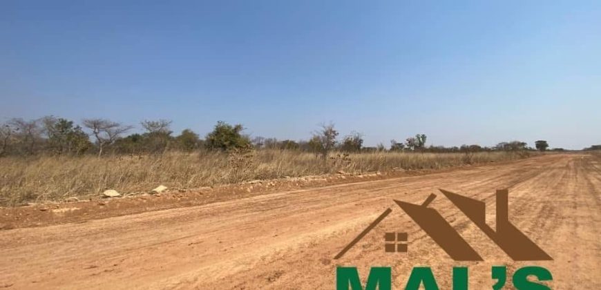 FOR SALE | Chaminuka Plots— Minimum 5 Acres x 49 Plots