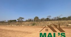 FOR SALE | Chaminuka Plots— Minimum 5 Acres x 49 Plots