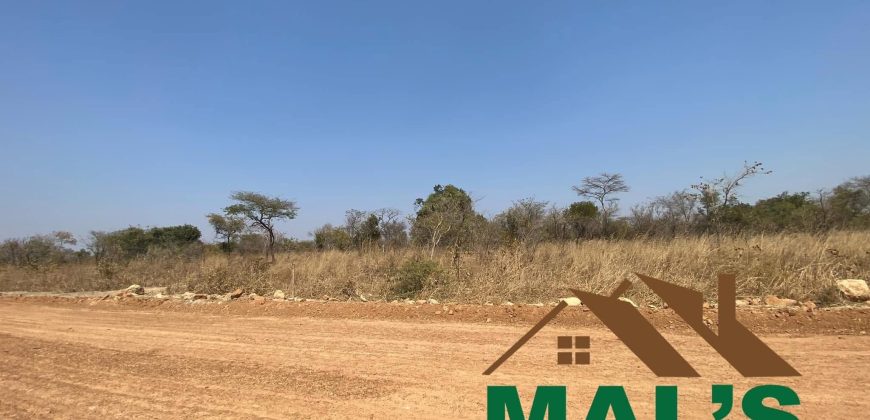 FOR SALE | Chaminuka Plots— Minimum 5 Acres x 49 Plots