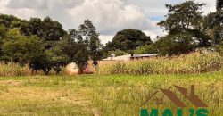 FOR SALE | Roma 2.31 Acres Prime Corner  Plot