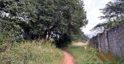 FOR SALE | Woodlands Mwatusanga Road 1,800m² Plots (x3)