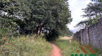 FOR SALE | Woodlands Mwatusanga Road 1,800m² Plots (x3)