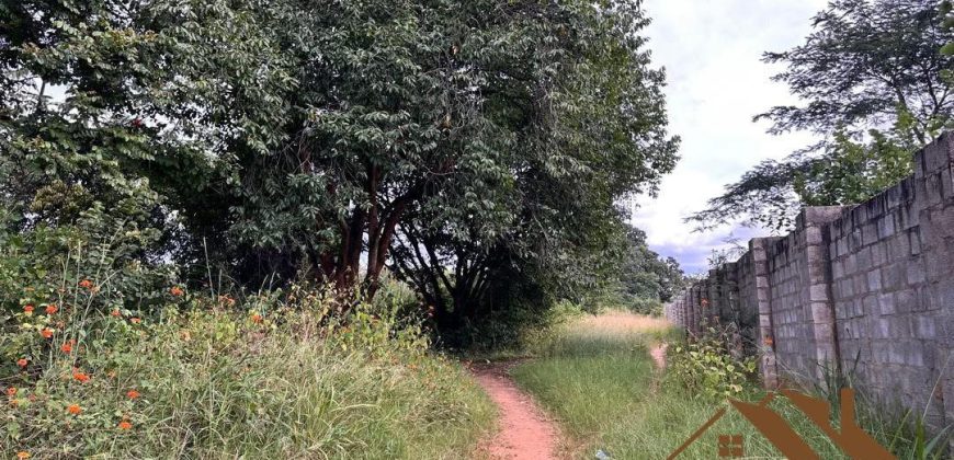 FOR SALE | Woodlands Mwatusanga Road 1,800m² Plots (x3)