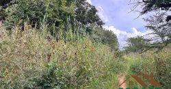 FOR SALE | Woodlands Mwatusanga Road 1,800m² Plots (x3)