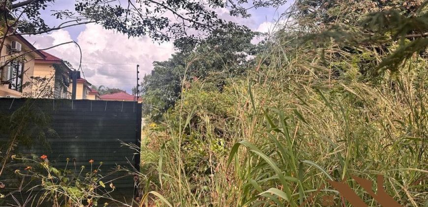 FOR SALE | Woodlands Mwatusanga Road 1,800m² Plots (x3)