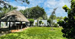 FOR SALE | Rhodes Park Commercial Property