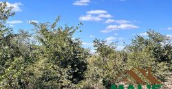 FOR SALE | Livingstone 20 Acres Land