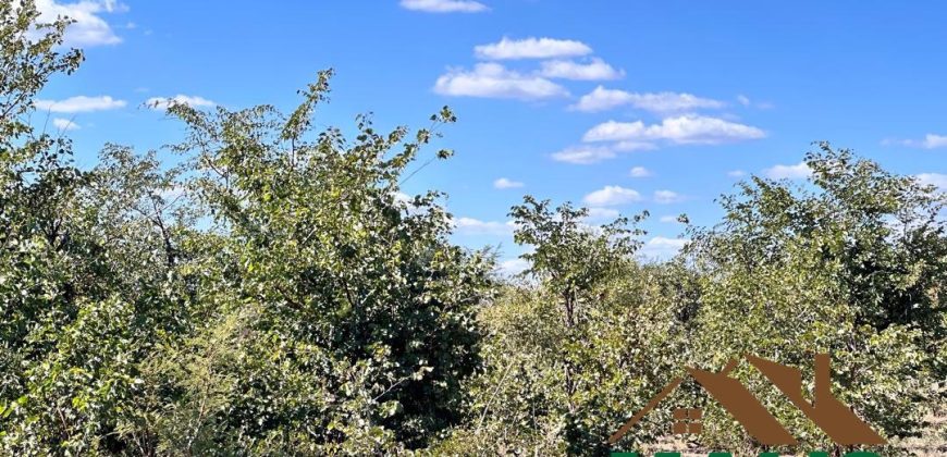 FOR SALE | Livingstone 20 Acres Land