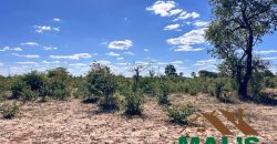 FOR SALE | Livingstone 20 Acres Land