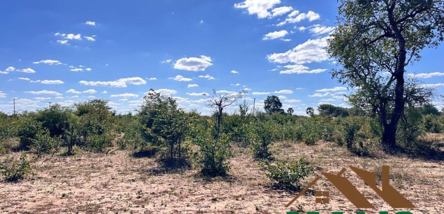 FOR SALE | Livingstone 20 Acres Land