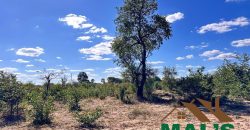 FOR SALE | Livingstone 20 Acres Land
