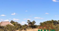 FOR SALE | Livingstone 20 Acres Land
