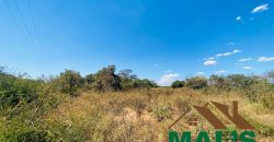 FOR SALE | Lusaka West Nakachenje (Farmers Area) 100 Acres Farm Land