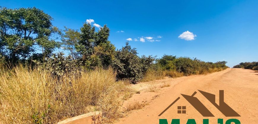 FOR SALE | Lusaka West Nakachenje (Farmers Area) 100 Acres Farm Land