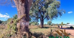 FOR SALE | Livingstone 6 Acres Land